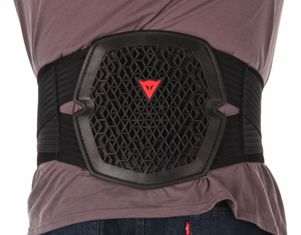 DAİNESE PRO-ARMOR LUMBAR LONG BELLİK - Resim 2