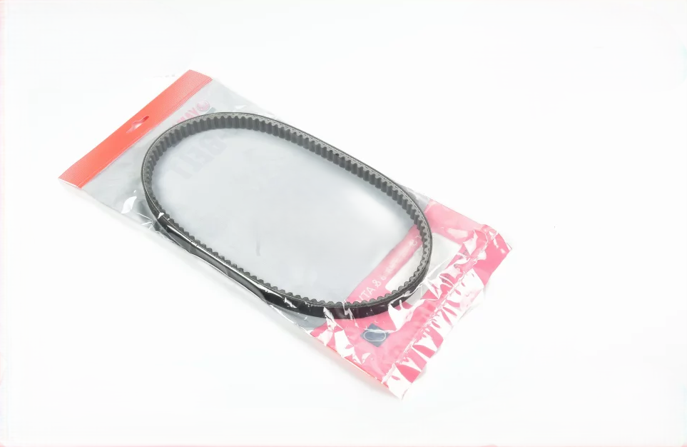 NEOS 4 VARYATÖR KAYIŞI - Resim 2