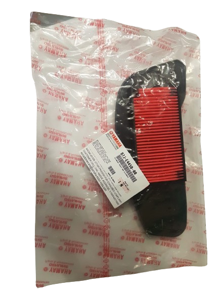 RAYZR 125 HAVA FİLTRESİ - Resim 3