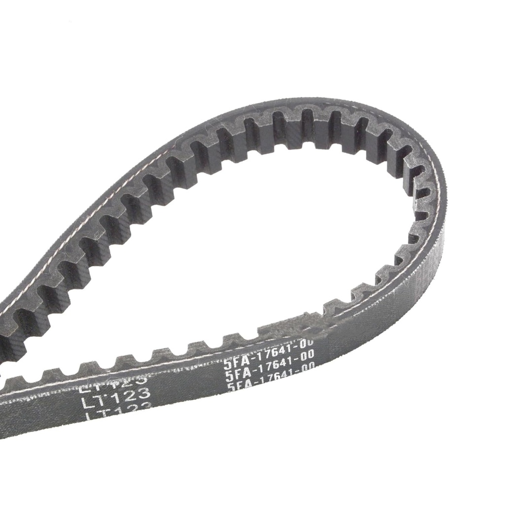 BWS 100 VARYATÖR KAYIŞI - Resim 2