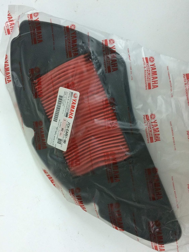 TRİCİTY 125 HAVA FİLTRESİ