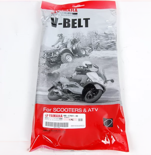 [1B9E76410000] XMAX 125 VARYATÖR KAYIŞI (2017-2019)