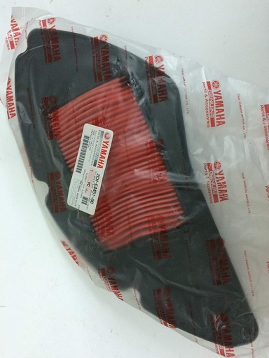 [2CME44510000] TRİCİTY 125 HAVA FİLTRESİ