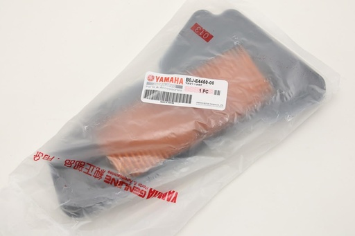 [B0JE44500000] DELİGHT 125 HAVA FİLTRESİ 2021-2024